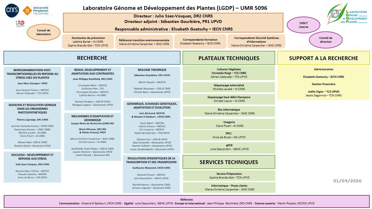 Laboratory organization chart